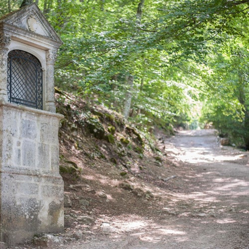 Oratoire dans la forêt