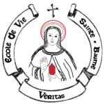 logo edv noir