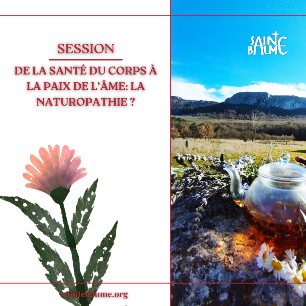 De la santé du corps à la paix de l’âme: la naturopathie ?